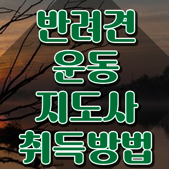  반려동물식품관리사 반려견운동지도사자격증 공부한 방법 , 무료수강 혜택