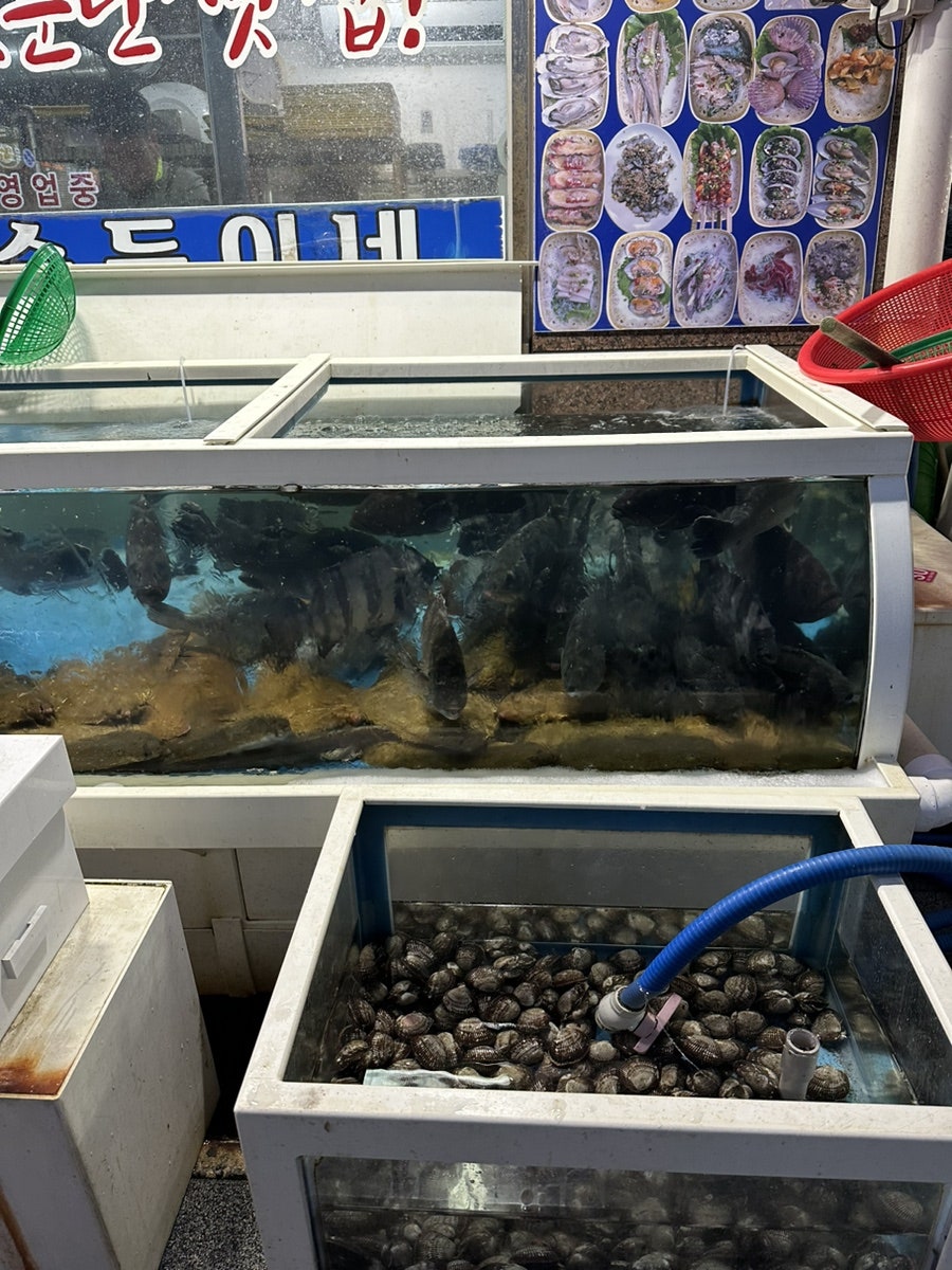 순득이네 사진 4