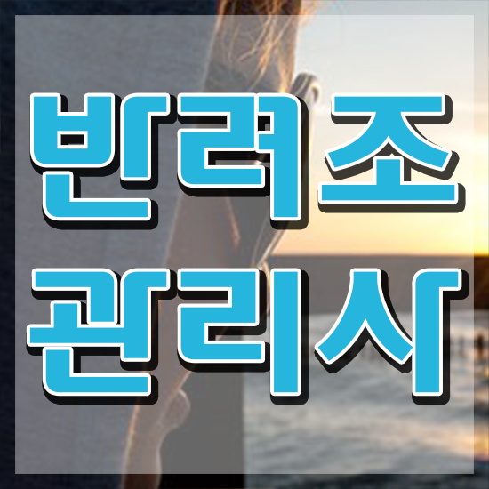  앵무새 수명 , 반려조관리사 자격증 준비한 방법 보고가세요