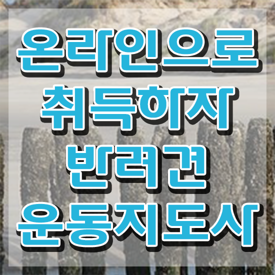  40대 경단녀 , 반려견운동지도사 고졸도 편하게 끝냈던 과정