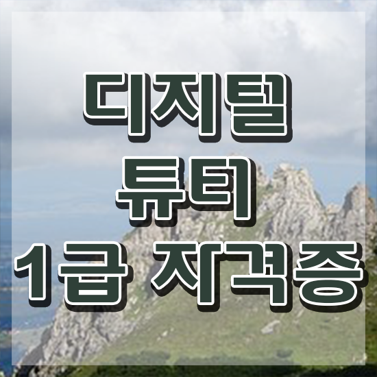  디지털 리터러시 뜻 , 디지털튜터 단기간에 끝냈던 팁