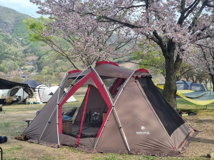 스노우피크 쉘터 리빙쉘R 텐트 정보 & 실사용 후기