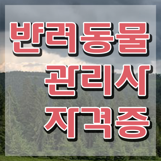  40대여자취업 , 반려동물관리사 자격증 합격한 팁 정보 가득