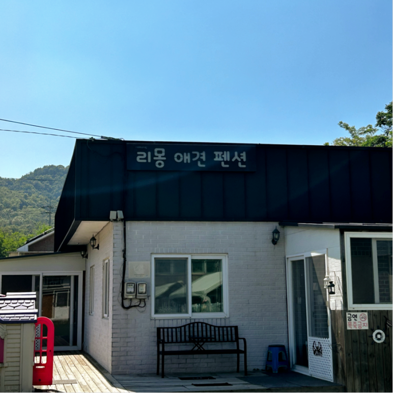 사진 8