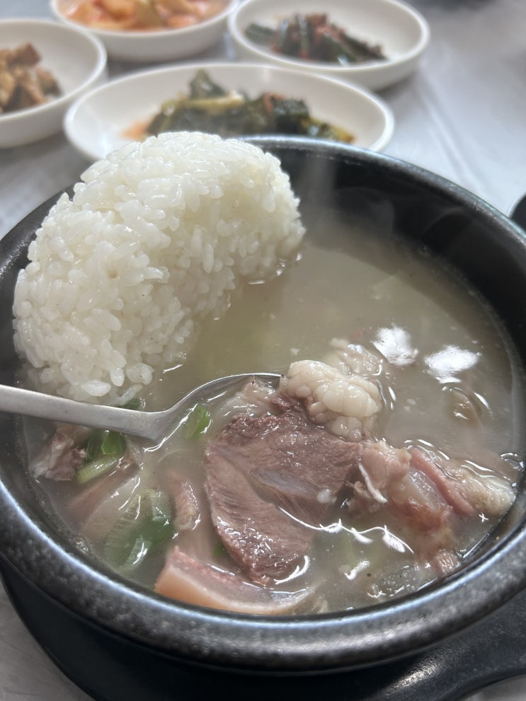  충청남도 당진시 삼봉초등학교 앞 <삼호정아구찜> (소머리국밥, 갈비만두국)
