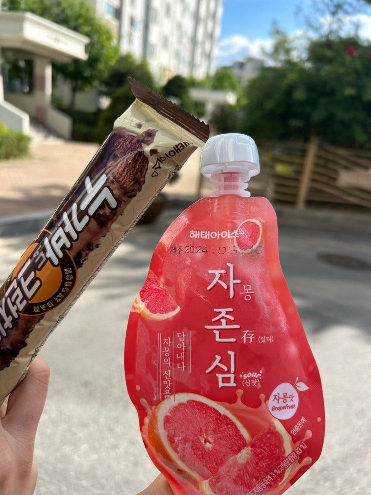  해태아이스 <자존심> 짧은 리뷰