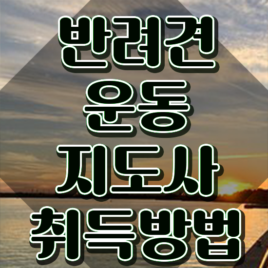  전문대 반려동물학과 반려견운동지도사 상세한 합격 전략