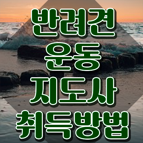  50대남자취업 , 고졸자도 반려견운동지도사 성공할 수 있어요