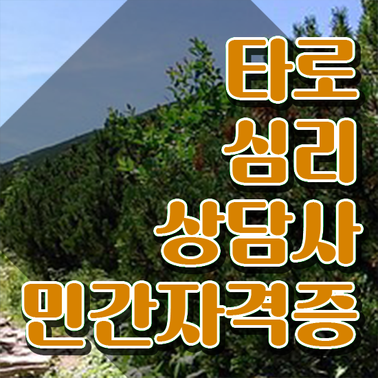  타로카드 , 타로상담전문가자격증 취득 정보 및 학습방법