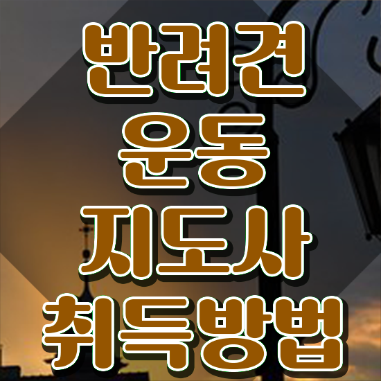  40대여성취업 , 반려견운동지도사 인강만으로 고졸도 손쉽게 완료한 전략
