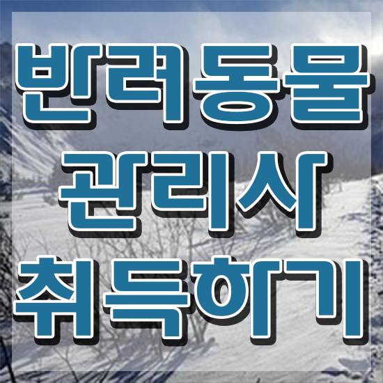  50대취업 , 반려동물관리사 자격증 독학으로 준비한 과정 및 고용 전망