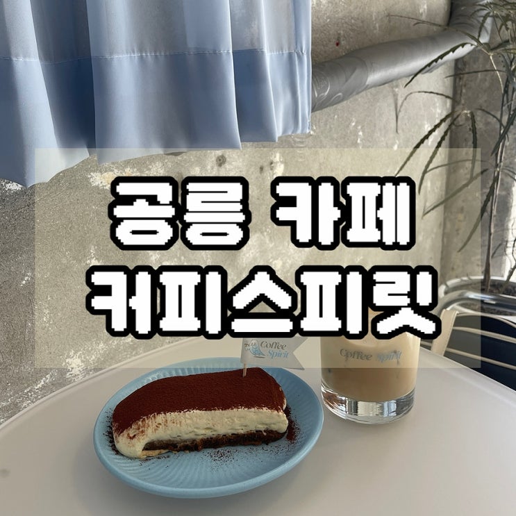  공릉 하늘색 카페 티라미수 추천 반려동물 동반 커피스피릿