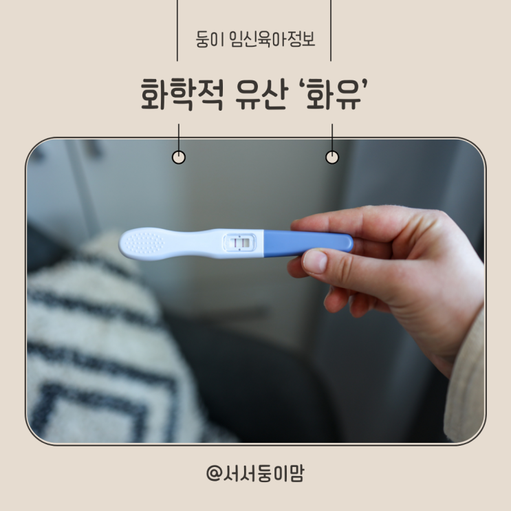  화유 뜻 증상 임테기 화학적 유산 후 임신