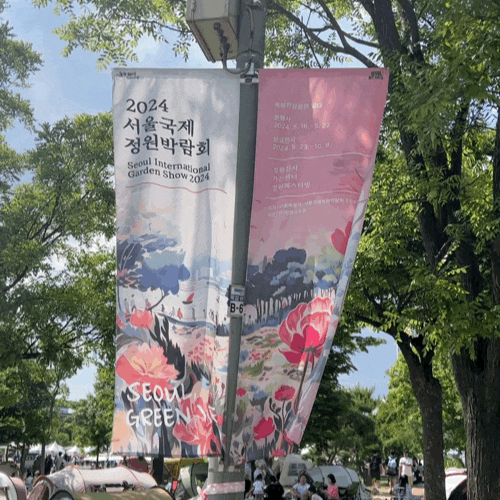  서울핫플 포토존많은 2024서울국제정원박람회 (Feat. 뚝섬한강공원 장미터널, 쉬엄쉬엄한강3종축제)