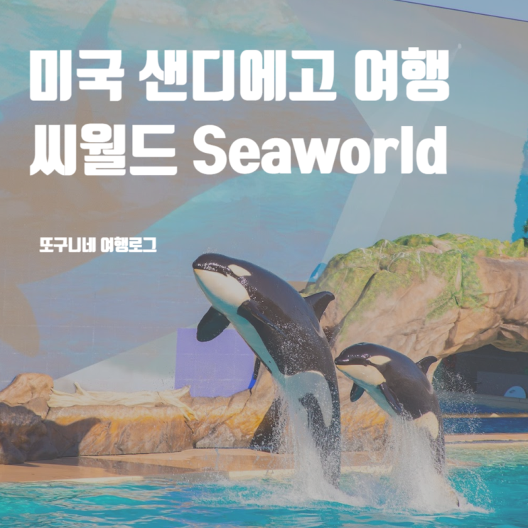  샌디에고 여행 씨월드 가볼만한곳 추천! San Diego Seaworld