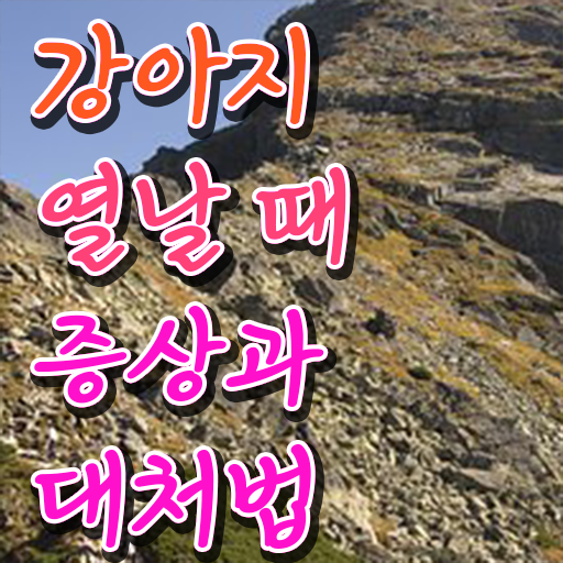  40대취업 , 반려동물관리사 자격증 2주 만에 준비한 과정 및 구직정보