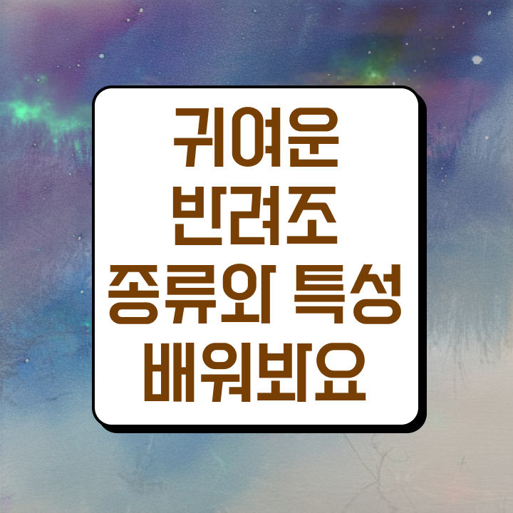  앵무새 수명 , 반려조관리사 자격증 온라인 교육으로 취득한 과정 추천합니다