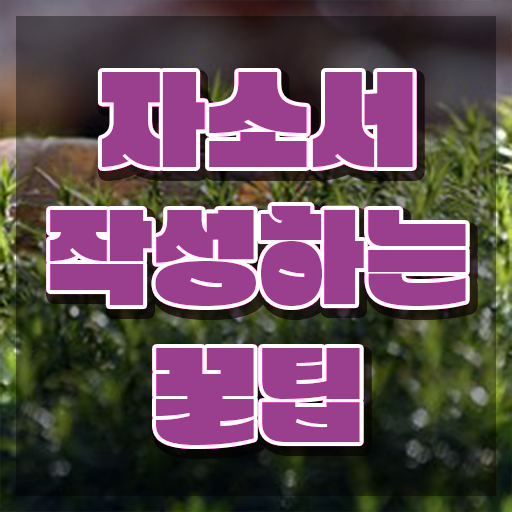  자기소개서첨삭 , 자기소개서지도사 자격증 취득한 과정 추천합니다