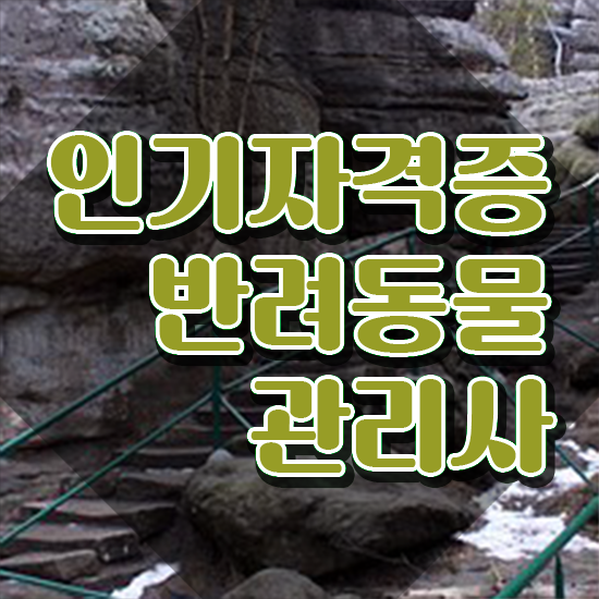  반려동물 관리사 , 반려동물관리사 자격증 1급,2급 동시에 취득한 정보 추천합니다