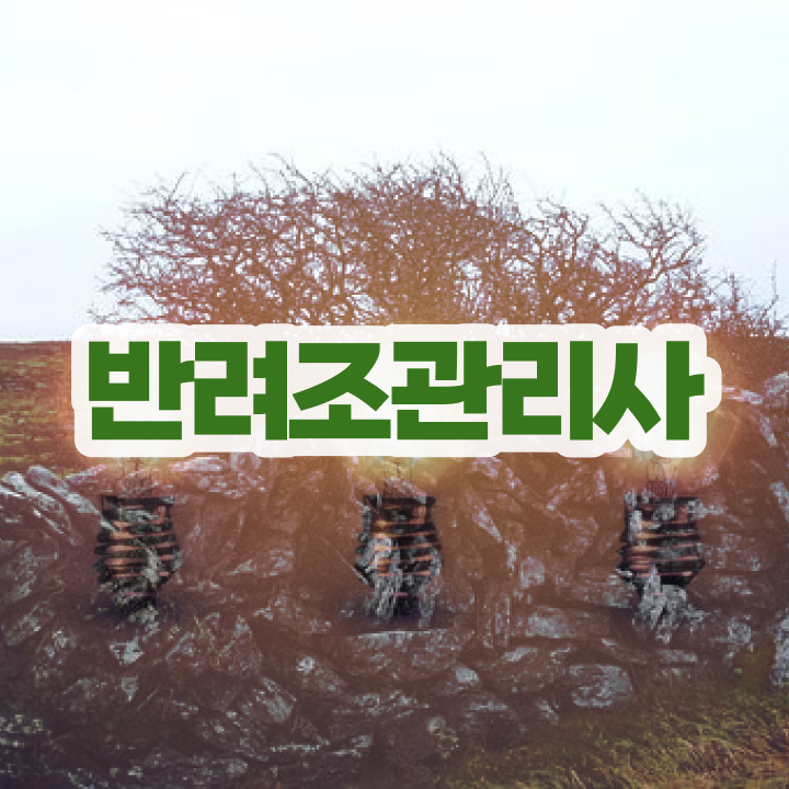  , 반려조관리사 자격증 2주 만에 학습한 후기 및 향후 전망