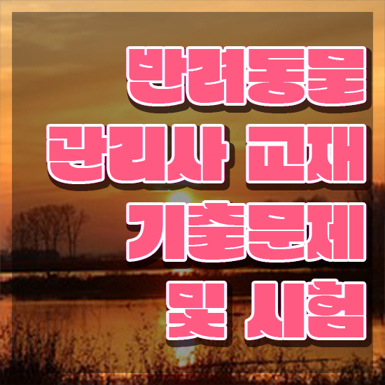  반려동물관리사 , 반려동물관리사 자격증 온라인으로 쉽게 학습한 후기 핵심 정보 가득