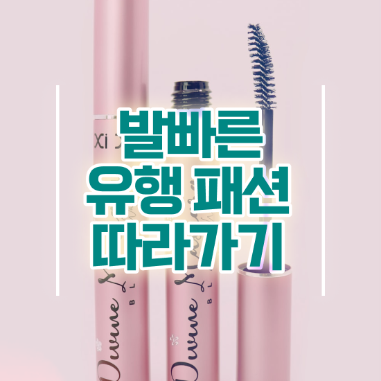  남자 퍼스널컬러 , 퍼스널컬러컨설턴트자격증 한달 만에 공부한 방법