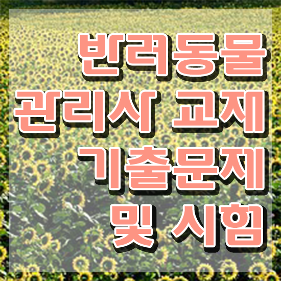  반려동물학과 , 반려동물관리사 자격증 2주 만에 취득한 방법 및 취업