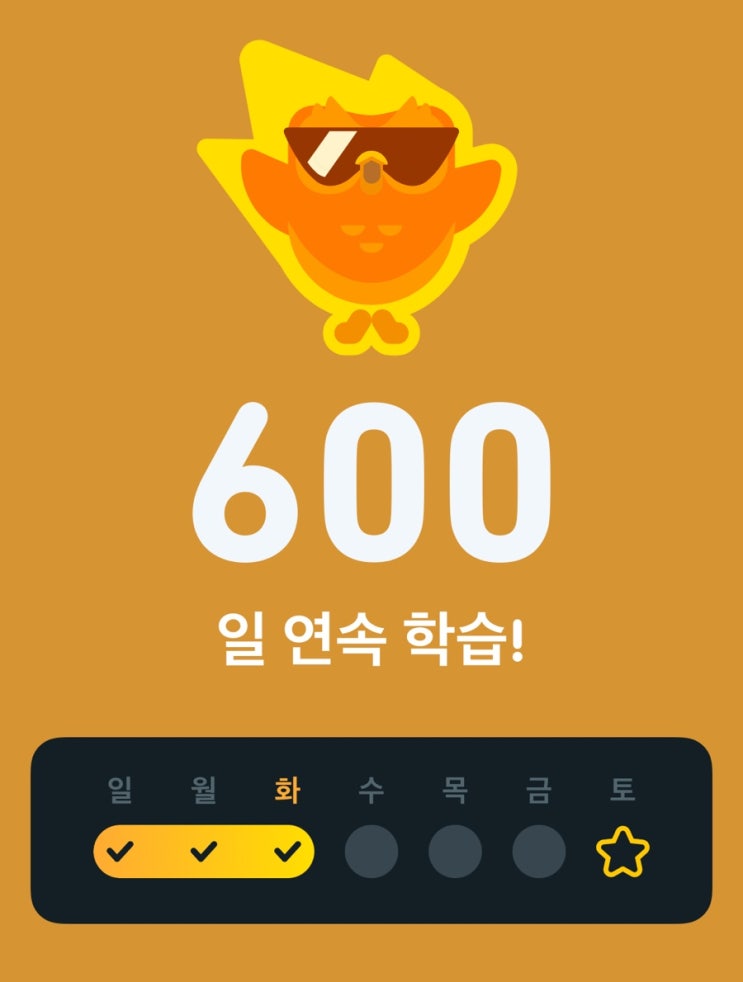  성인 무료 영어학습 어플 듀오링고로 600일 연속 학습 달성!