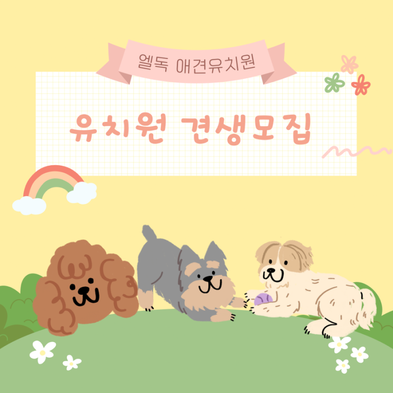 사진 7