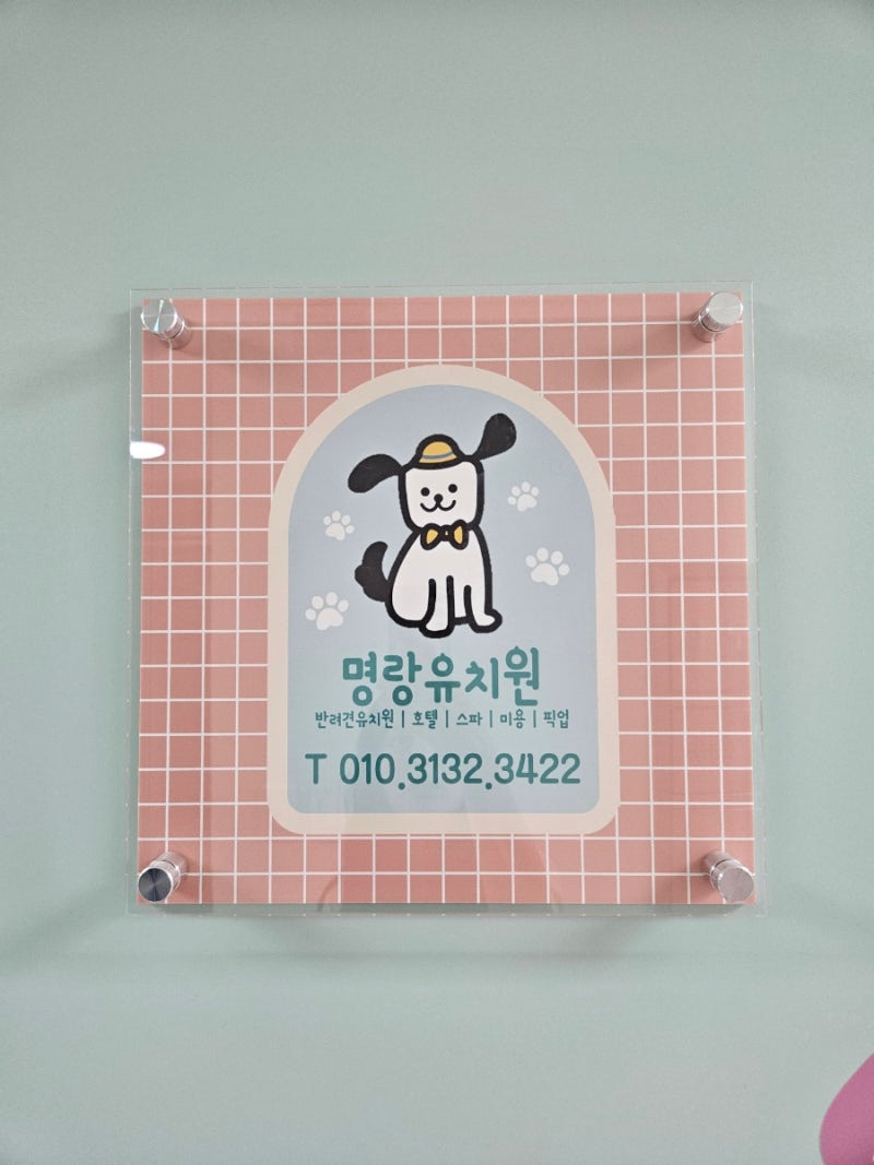 사진 5