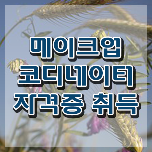  메이크업실기시험 , 메이크업코디네이터 자격증 합격정보 살펴보기