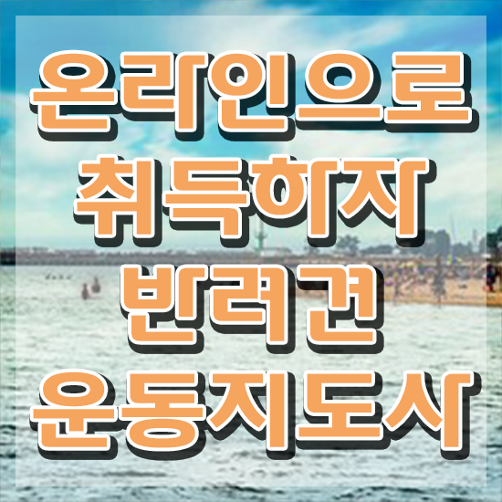  30대여자직업 , 반려견운동지도사자격증 직장인도 쉽게 취득 노하우