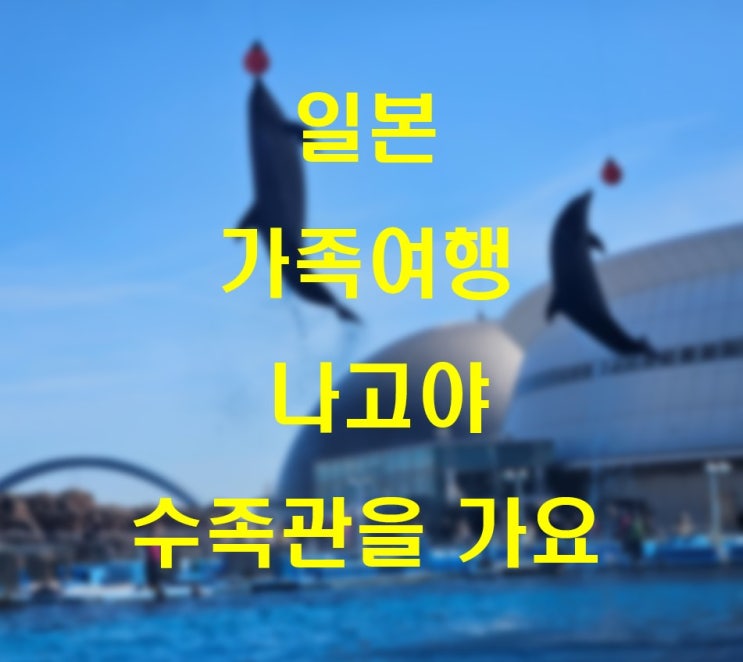  일본 나고야 여행 아쿠아리움 라남매 견학기