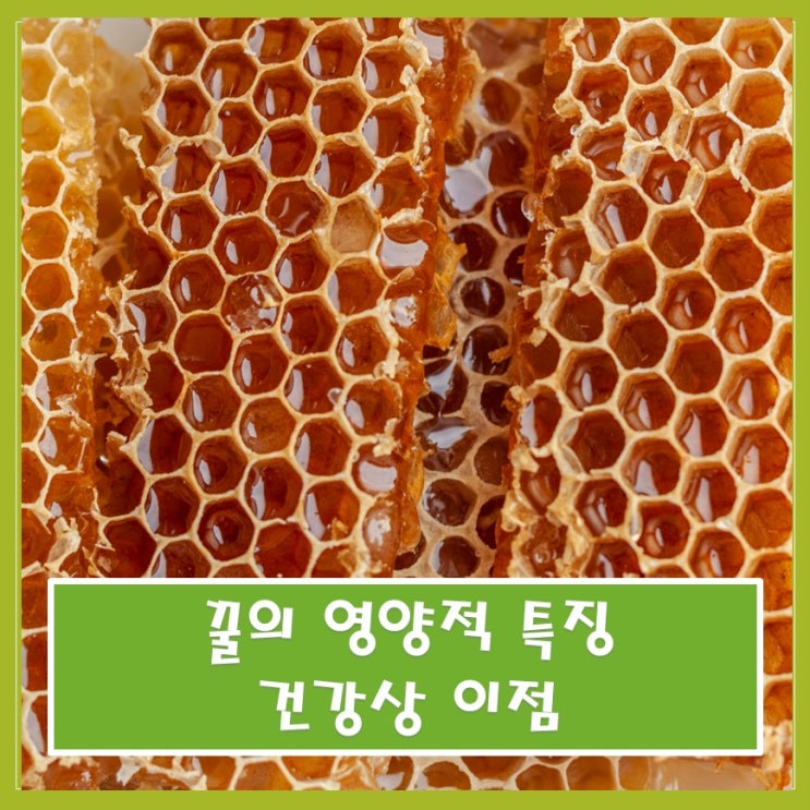  꿀의 영양적 특징과 건강상 이점
