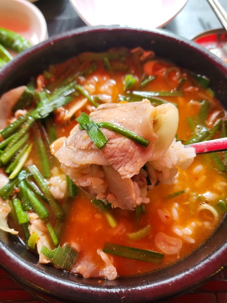  해운대 돼지국밥 맛집 합천돼지국밥 해운대본점 테라스 애견동반가능