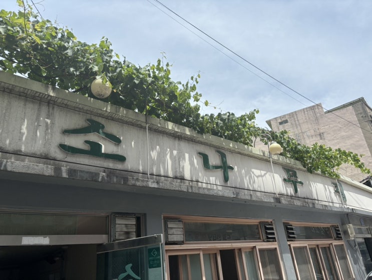  [대전 대흥동] 대전 현지인 찐 노포 오징어찌개 맛집 소나무집