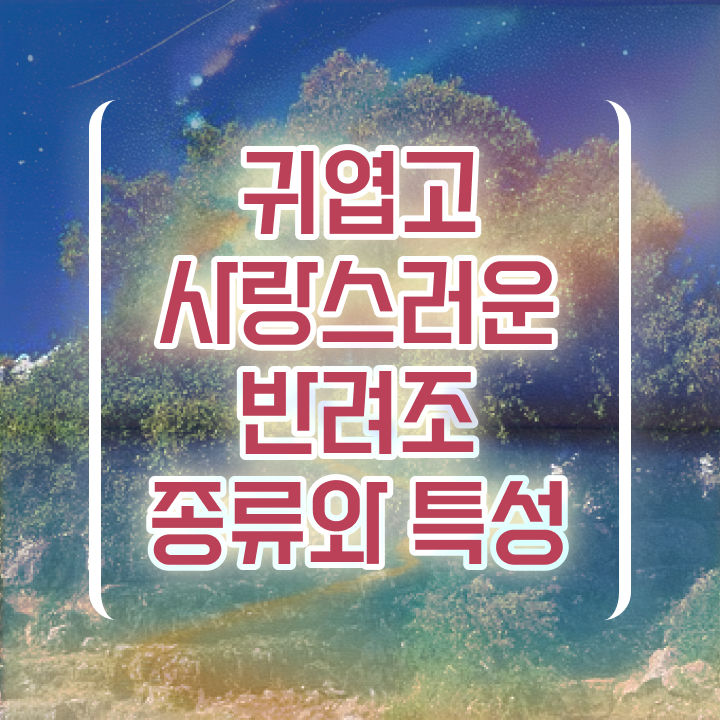  앵무새키우기 , 반려조관리사 자격증 단기간에 합격한 전략 및 취업