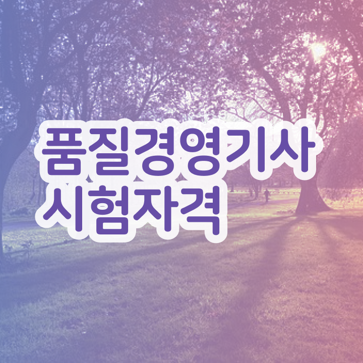  배극윤 품질경영기사 품질경영기사 응시자격 온라인 수업으로 단기간에 끝낸 노하우