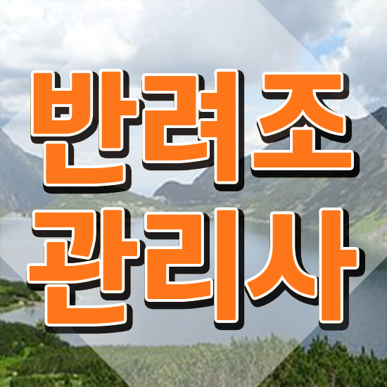  말하는 앵무새 종류 , 반려조관리사 자격증 준비한 방법 확인하고 가세요