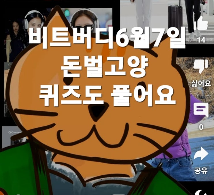  비트버니 퀴즈 6월 7일정답은?   ㅇㅊㅇㄷㅇㅌ 돈벌고양퀴즈 ㅇㅍㄹㅇㅅ ?