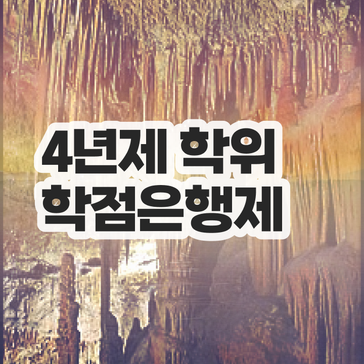  학점은행제 자격증 성공한 과정