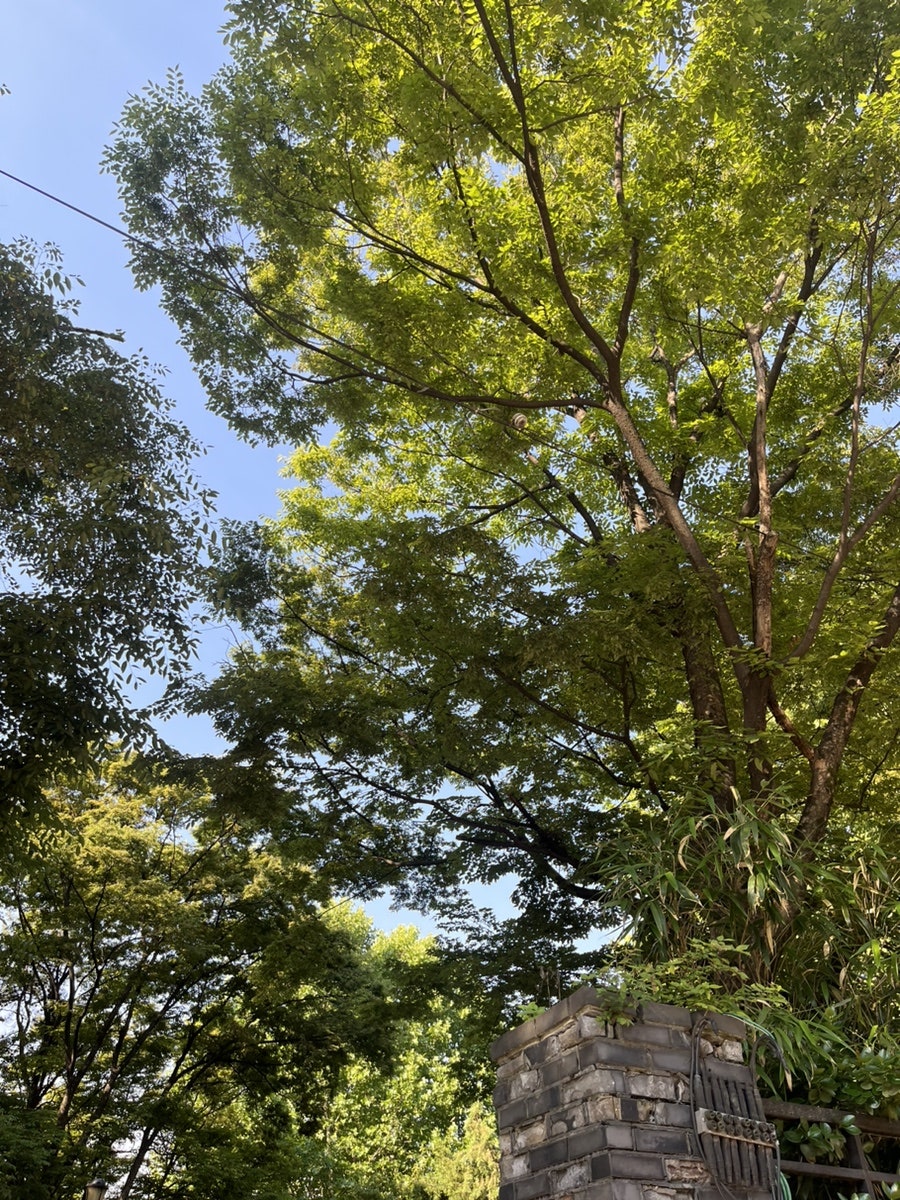우물커피앤바 사진 2