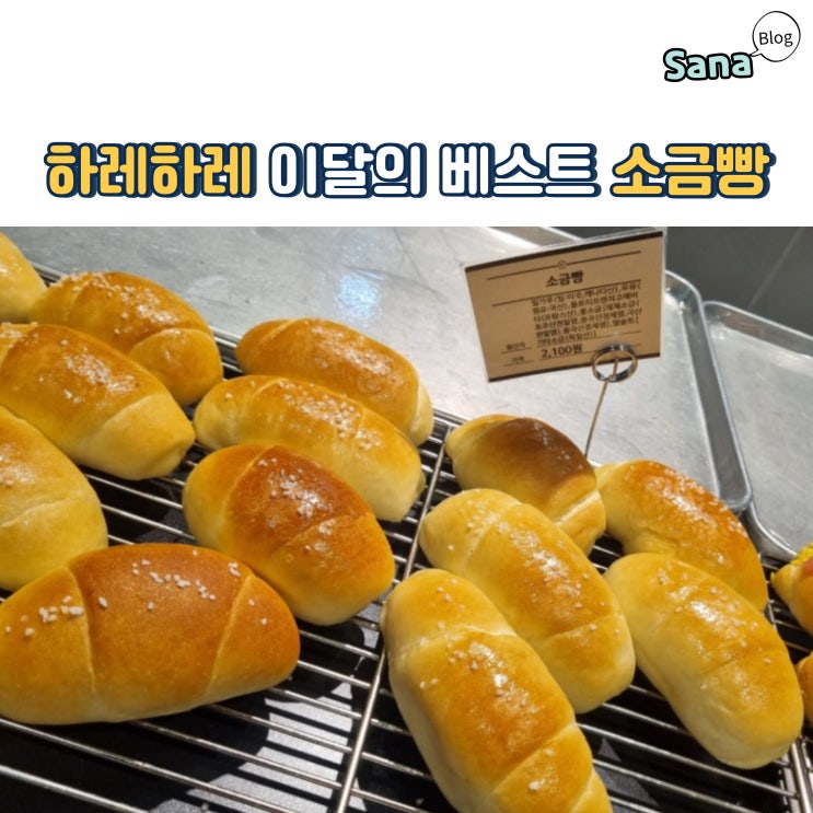  하레하레 이달의 베스트 소금빵