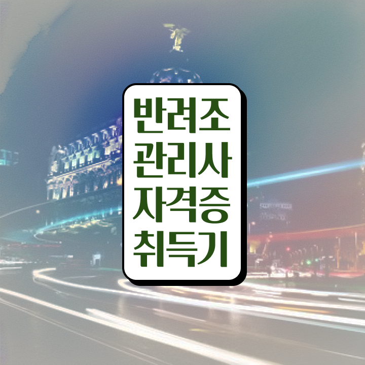  앵무새 길들이기 , 반려조관리사 자격증 온라인으로 쉽게 취득한 방법 알려드립니다