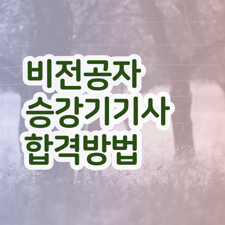  승강기기사 실기 승강기기사 시험자격 온라인 수업으로 5개월 만에 끝낸 비법
