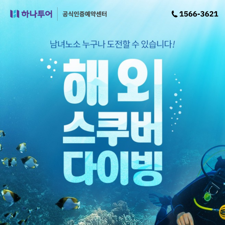  전문가와 함께하는 해외 스쿠버 다이빙 추천 여행지 7곳