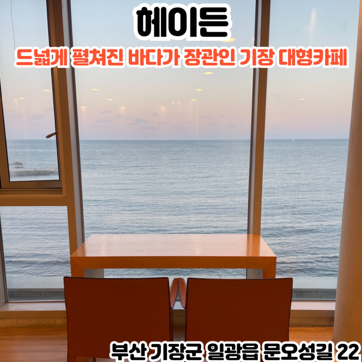  부산INFJ의 카페여행 - [부산 기장] 헤이든: 장애물 하나 없이 드넓게 펼쳐진 바다가 장관인 대형카페