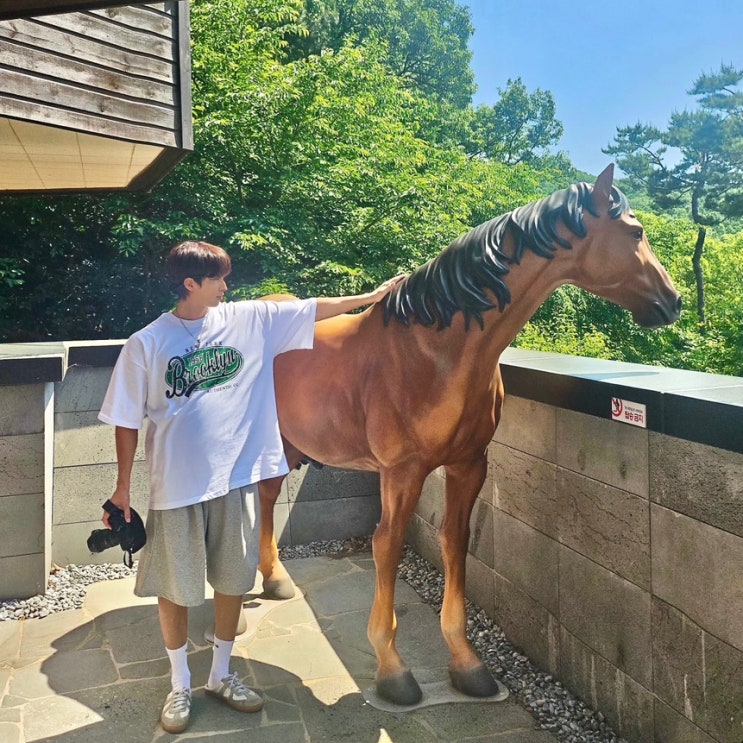  경기도가볼만한곳 용인자연휴양림 방문후기 : 주차, 입장료, 숲나들E 숙소예약 방법 포함