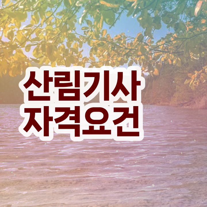 산림기사 필답형 산림기사 시험응시조건 온라인 과정으로 4달 안에 완료한 팁