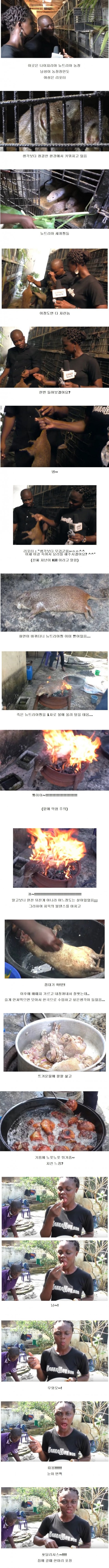  나이지리아 뉴트리아 요리